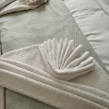 Snow Parnassos Arachova's Nest