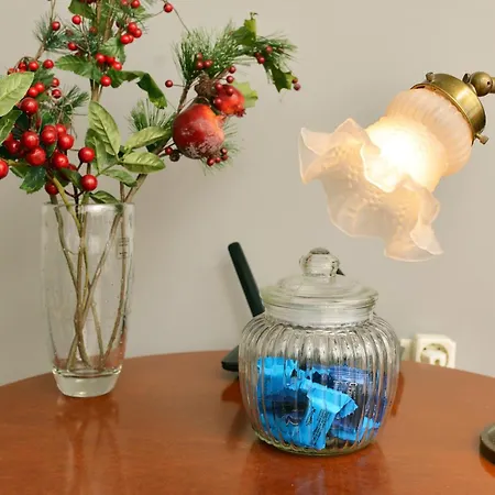 Snow Parnassos Arachova's Nest